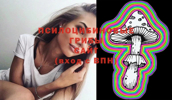 PSILOCYBIN Абинск