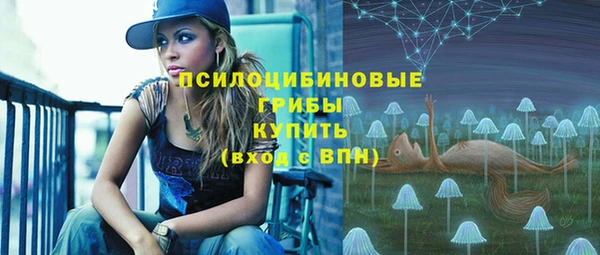 PSILOCYBIN Абинск